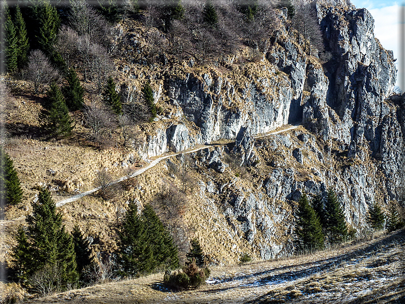 foto Salita dal Monte Tomba a Cima Grappa